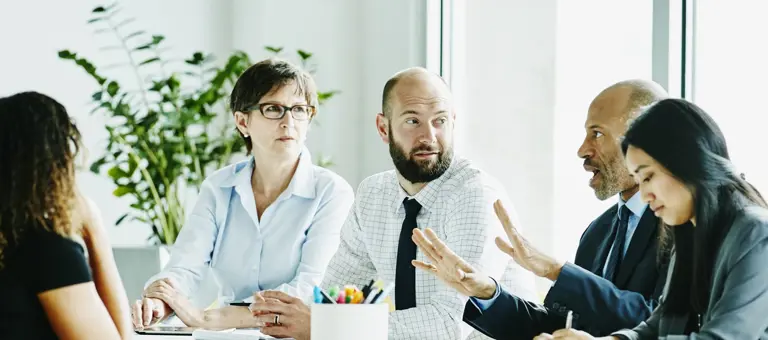 An office meeting with plant in the background