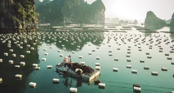 Fishermen in Asia