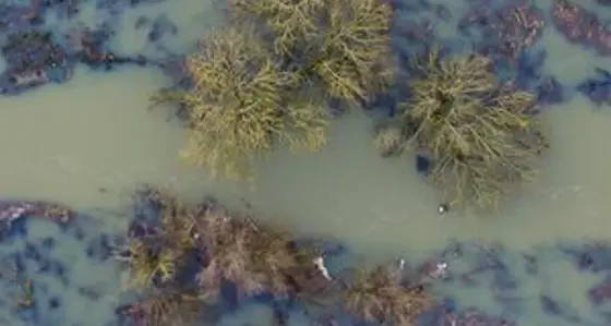 An aerial view of a muddy flooded river that has burst its banks