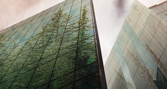 Trees reflected in modern glass-fronted buildings