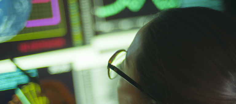 A person looking at the globe on their computer screen