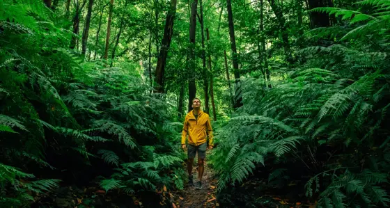 Man in a forest