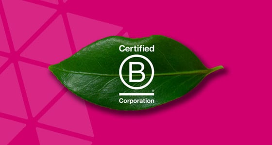The Certified B Corporation Logo superimposed over a leaf on a pink background