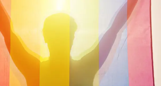 A silhouetted person holding up a rainbow flag in front of them