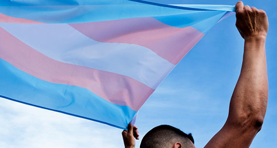A person holding up the Transgender flag above their head